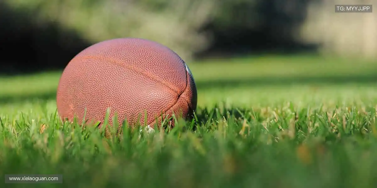 🎮电竞周边集结,释放指尖的力量!